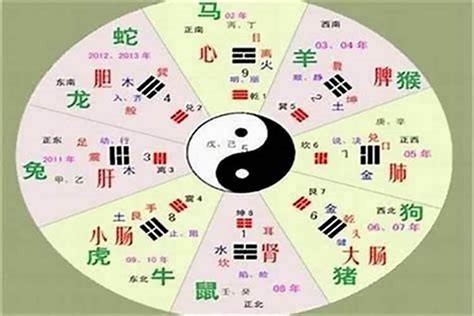 丁未五行|丁未年五行属性 丁未年出生的人命运详解